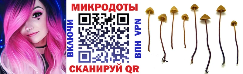 Галлюциногенные грибы Cubensis  Кизилюрт 